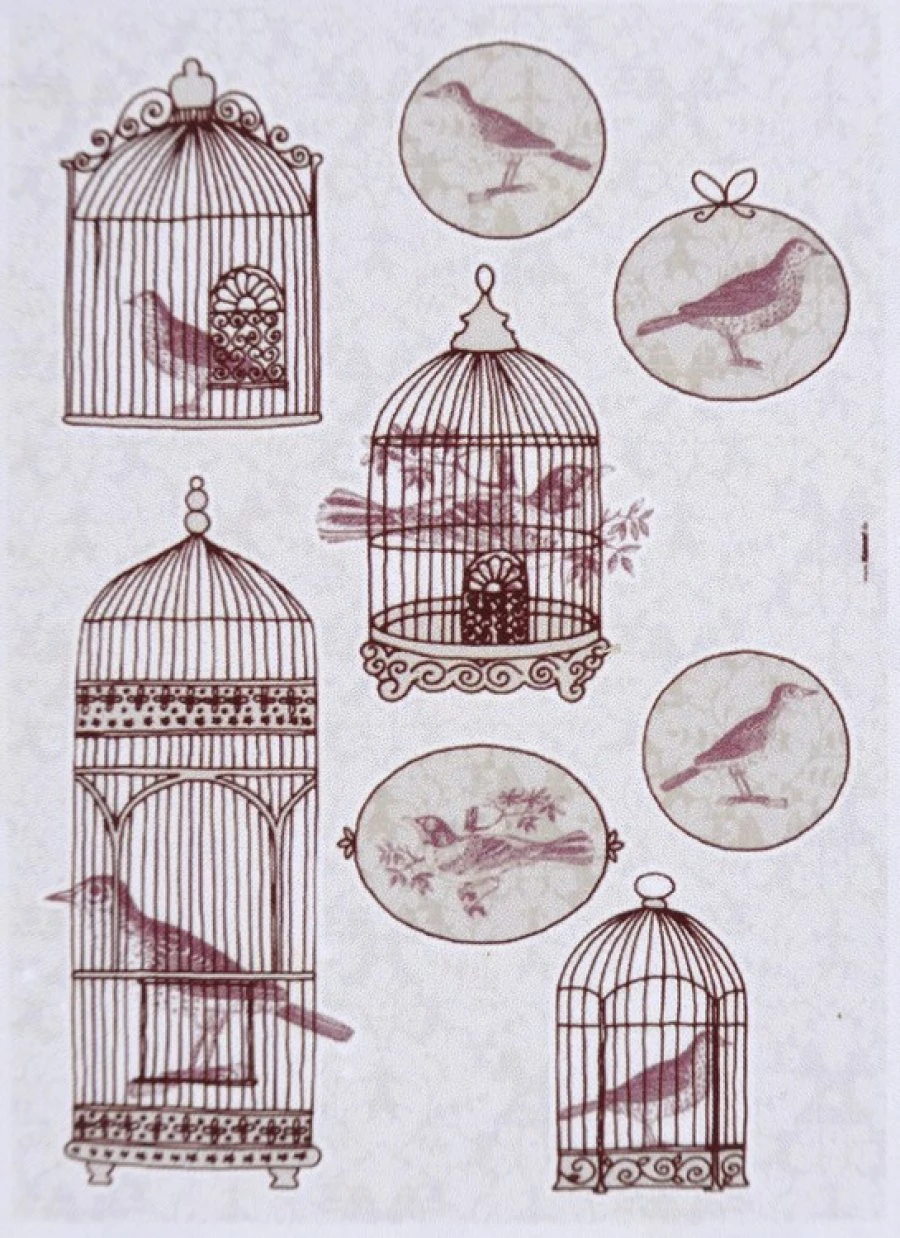 Sticker Bird Cage 50X70 1
