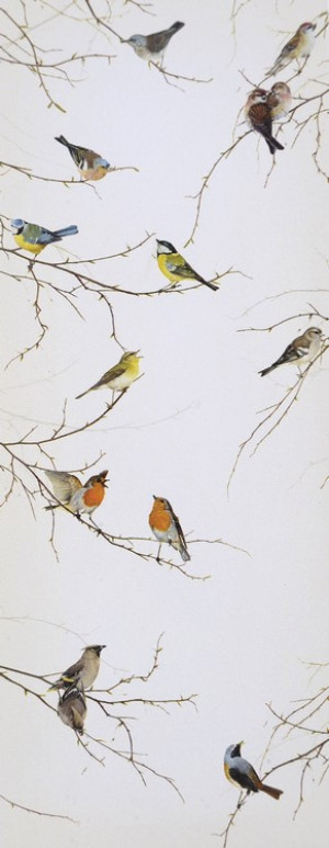 Φωτοαπετσαρία  2-1014 Birds 92X220