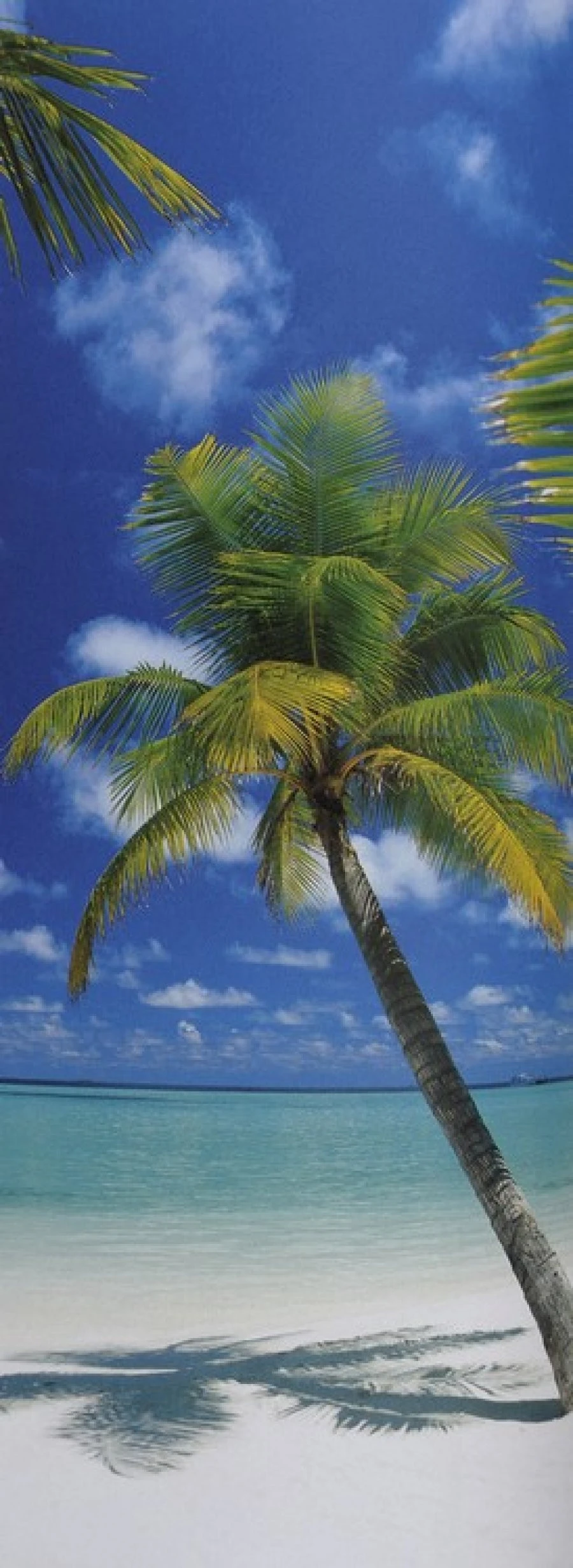 Φωτοαπετσαρία 2-1883 Ariat. 92X220 1