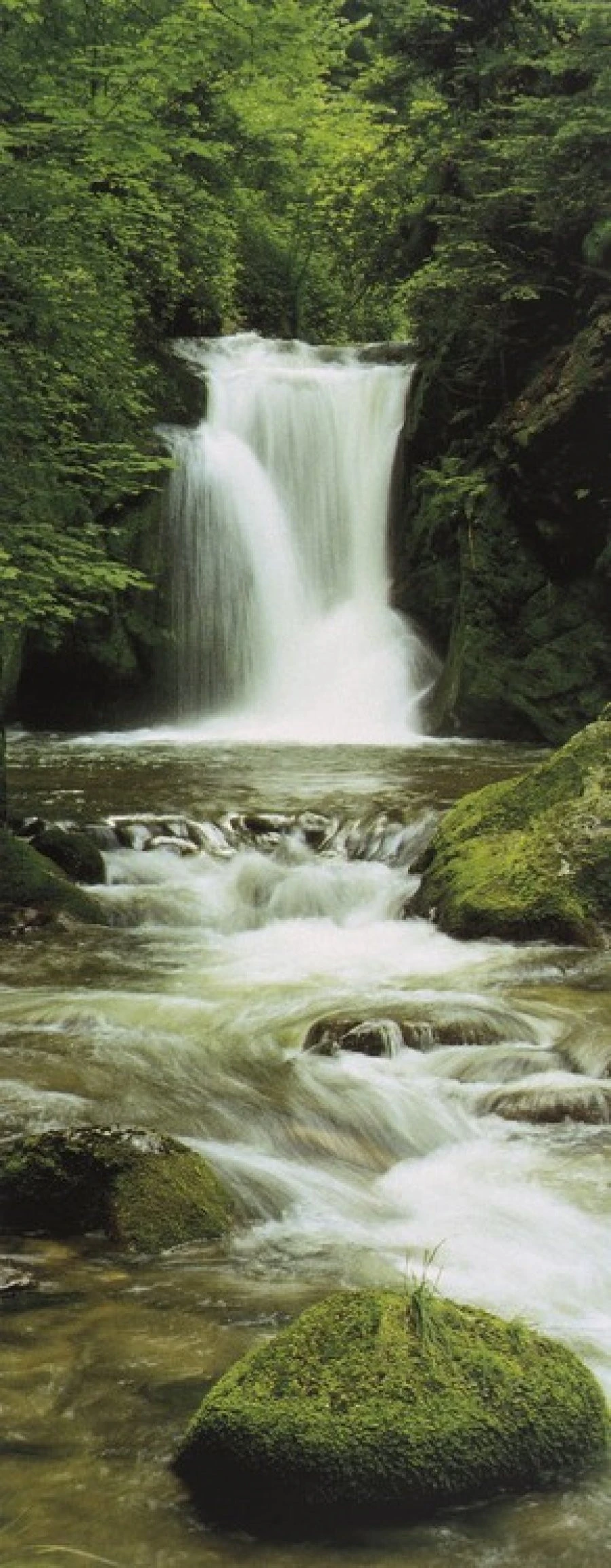 Φωτοαπετσαρία 2-1047 Ellow.Fal97X220 1