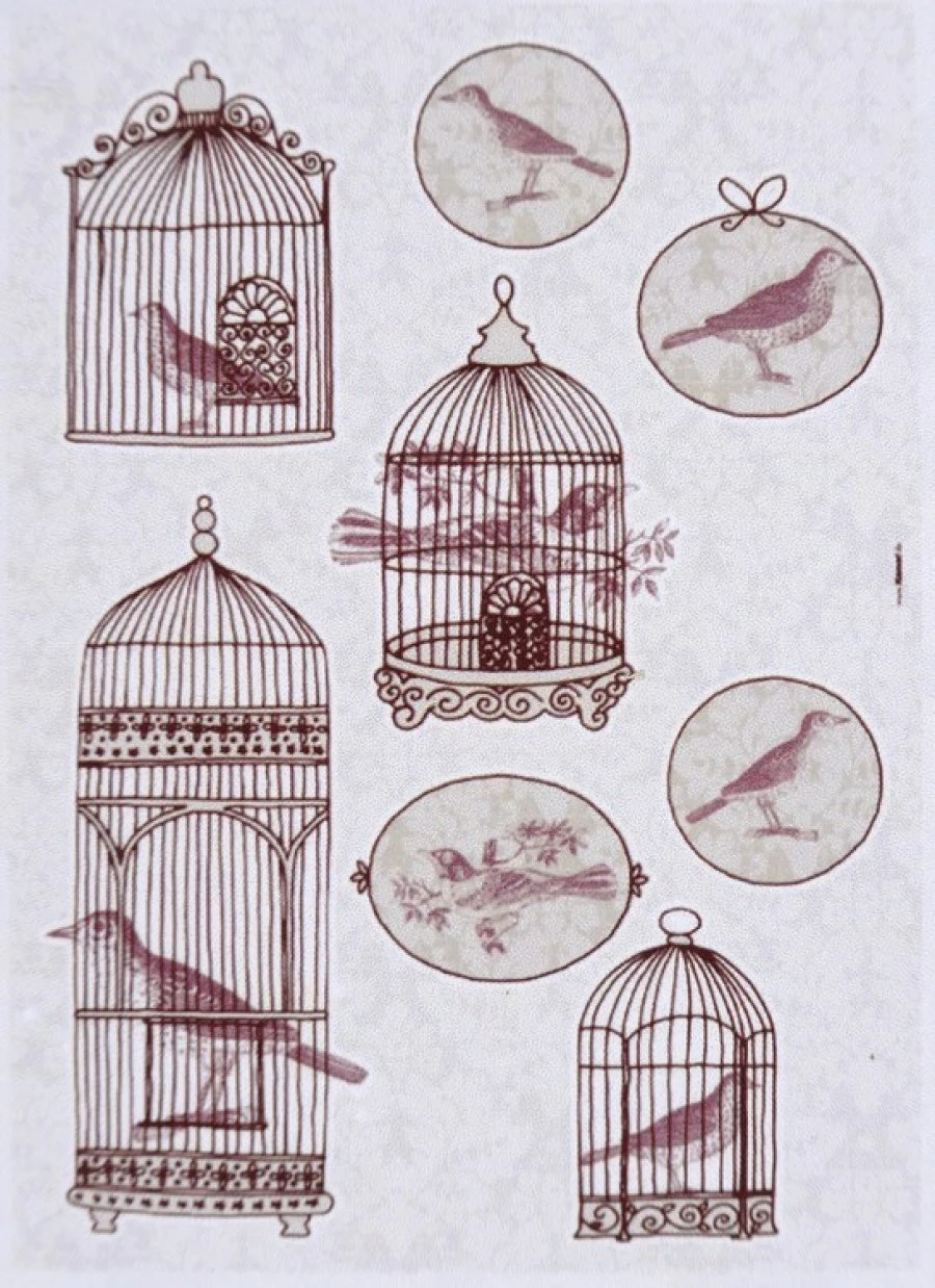 Sticker Bird Cage 50X70 EN 1