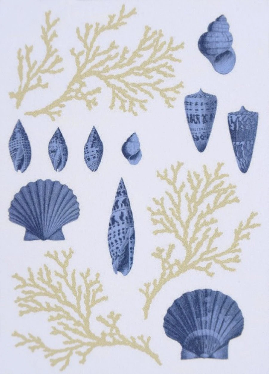 Sticker Atlantic 50X70 EN 1