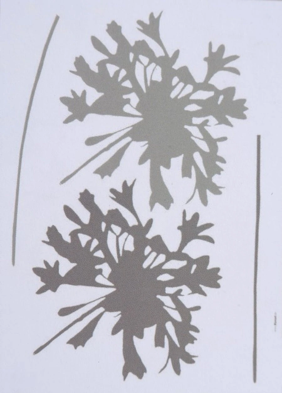 Sticker Silhouete 50X70 EN 1