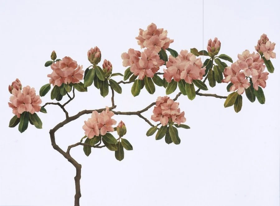 Ταπετσαρία P030501-8 360X265 1