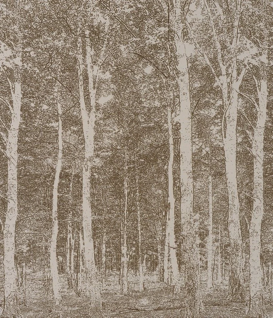 Ταπετσαρία Dm216-1 270X265 EN 1