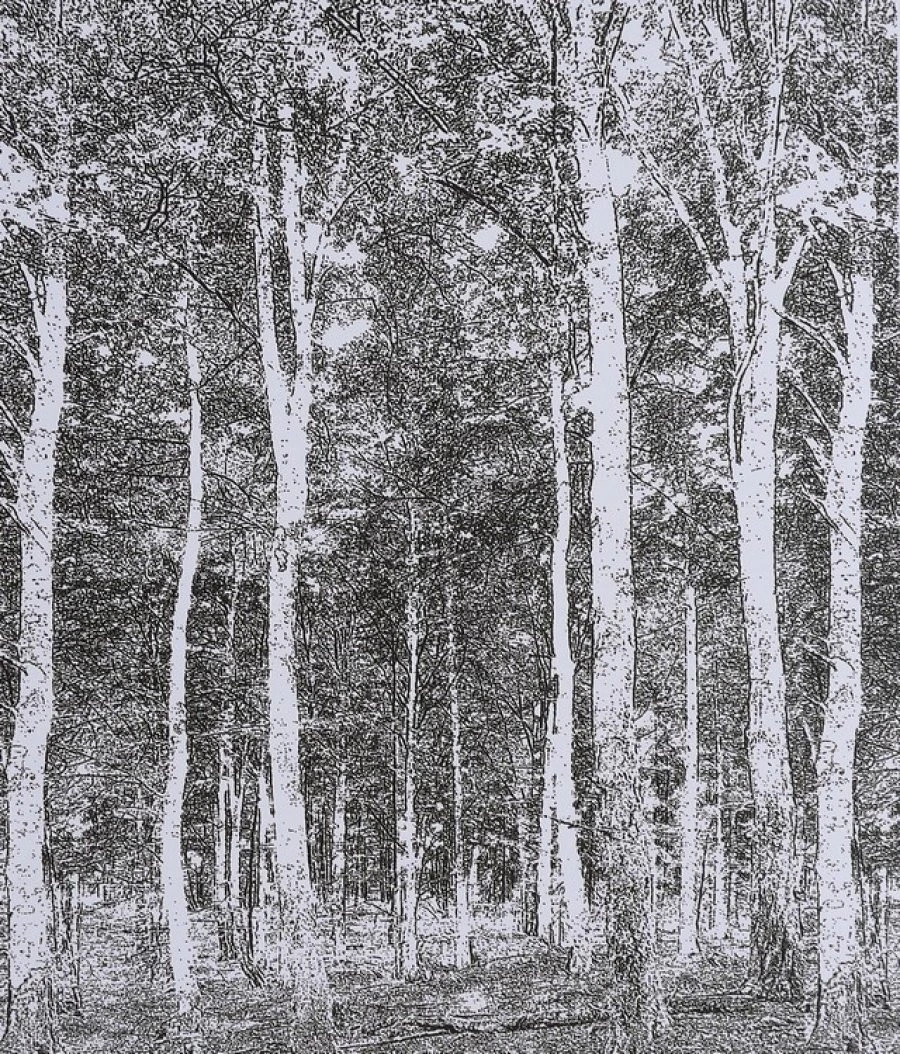 Ταπετσαρία Dm216-4 270X265 EN 1