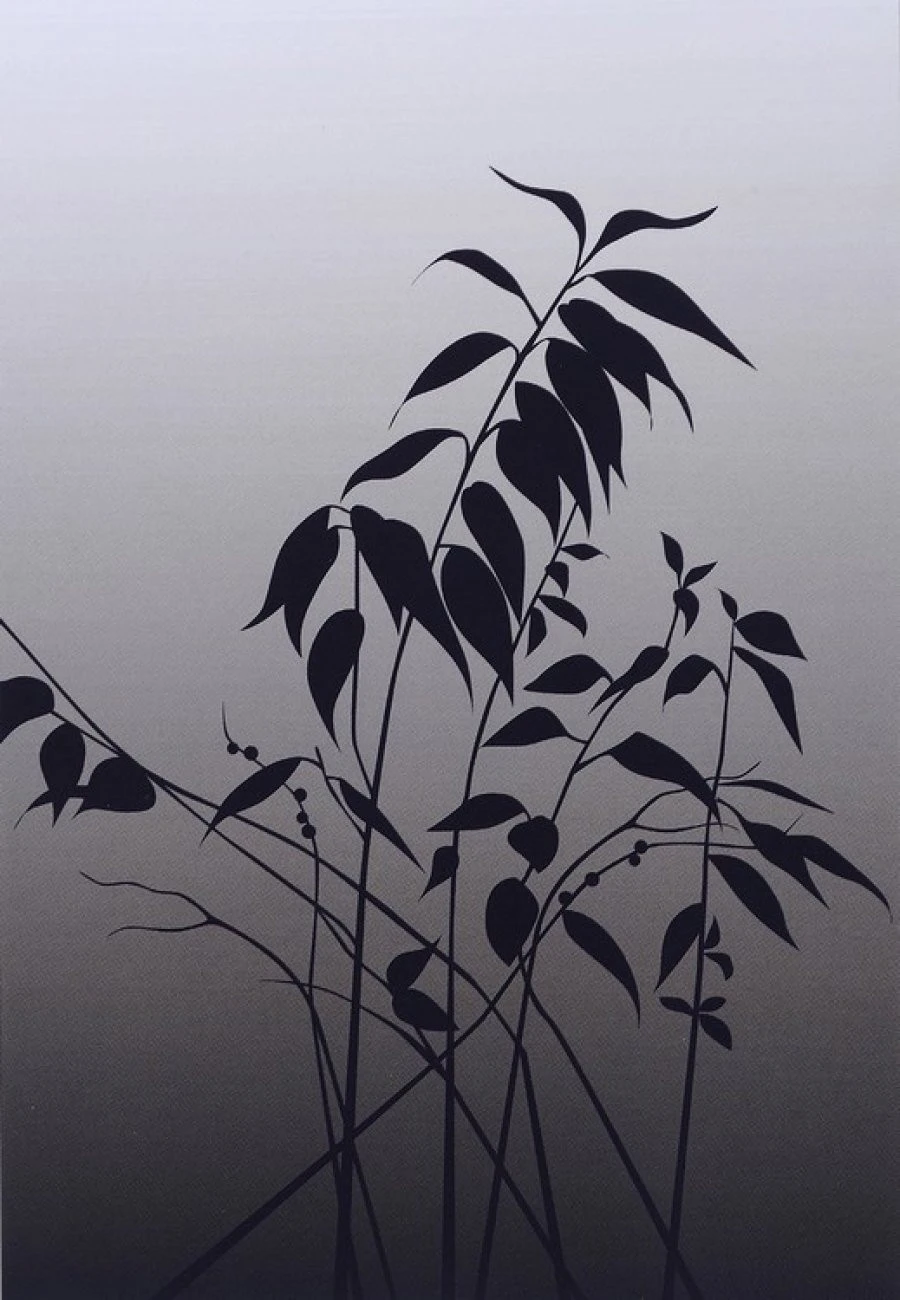 Ταπετσαρία Dm208-1 180X265 1