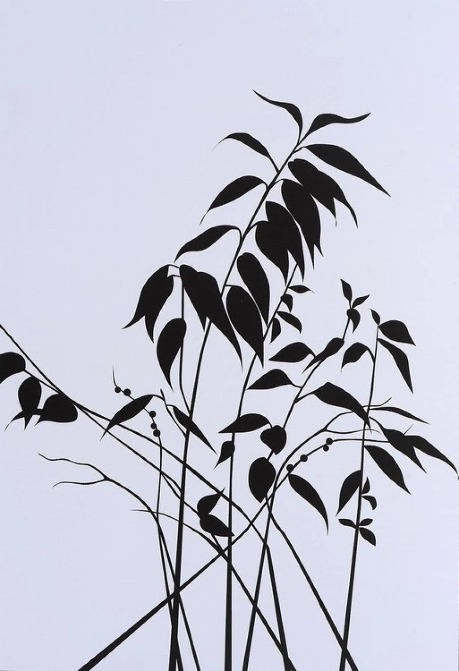 Ταπετσαρία Dm208-2 180X265 1