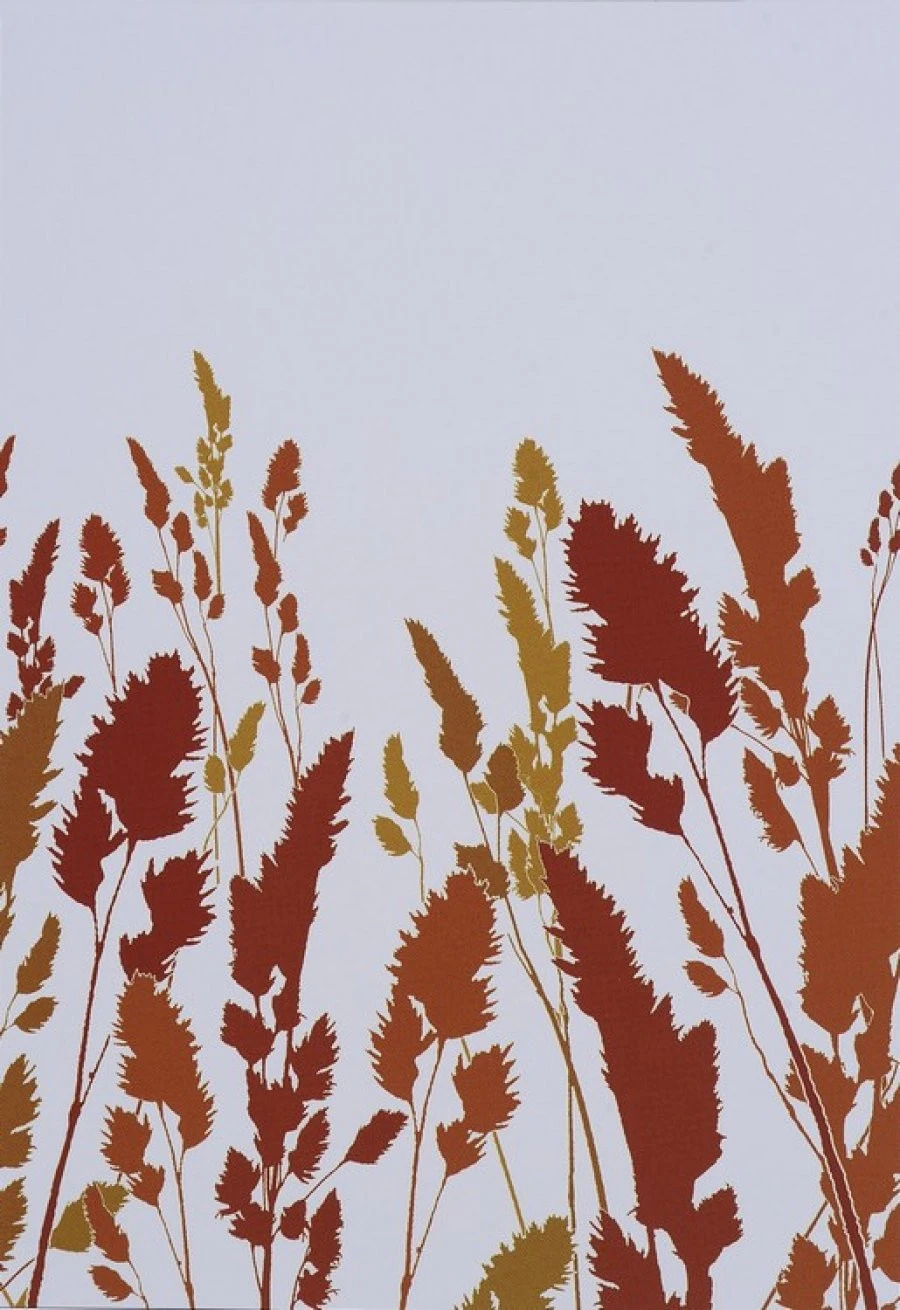 Ταπετσαρία Dm220-2 180X265 EN 1