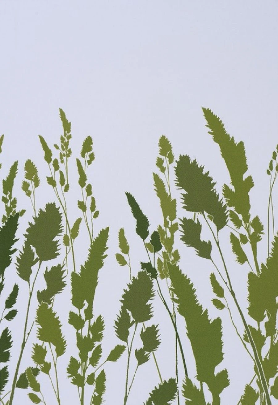 Ταπετσαρία Dm220-3 180X265 EN 1