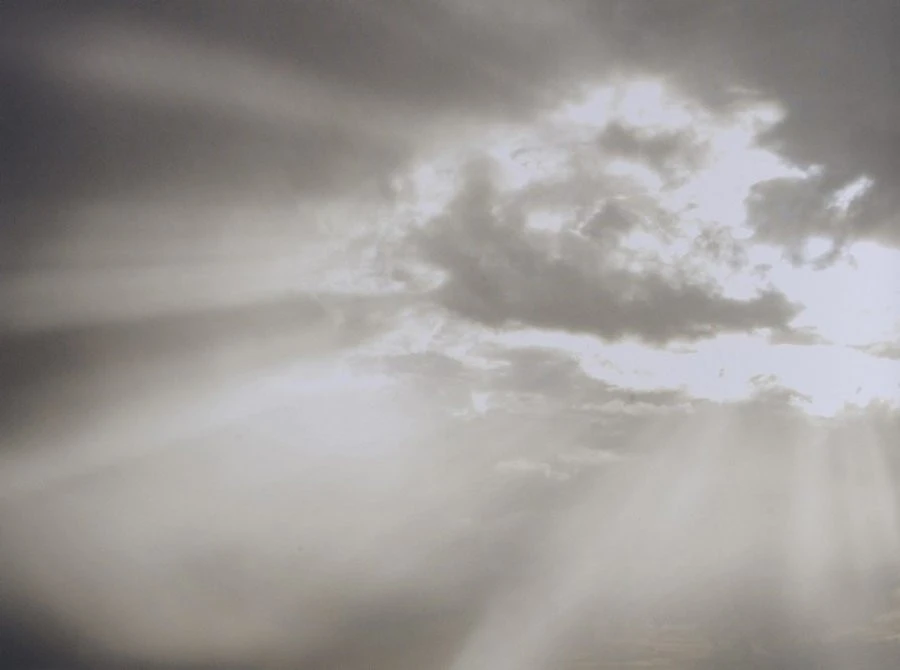 Ταπετσαρία Dm325-1 360X265 1