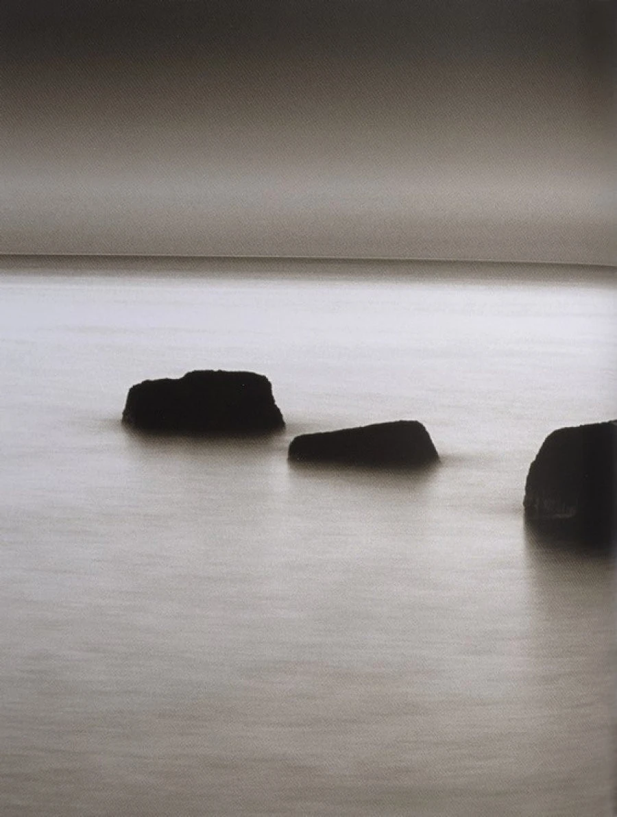 Ταπετσαρία Dm311-1 225X265 1