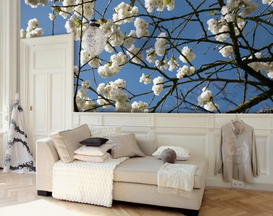 Taπετσαρια 393002 Next EN 1