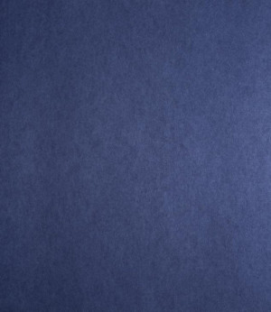 Ταπετσαρία 390587 Kidskapers EN