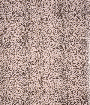 Ταπετσαρία 390601 Kidskapers