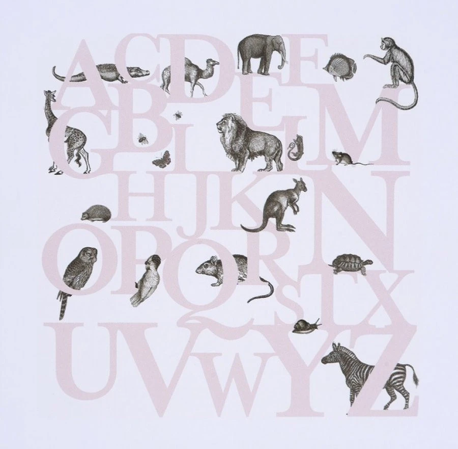 Ταπετσαρία P120405-6 270X265 EN 1