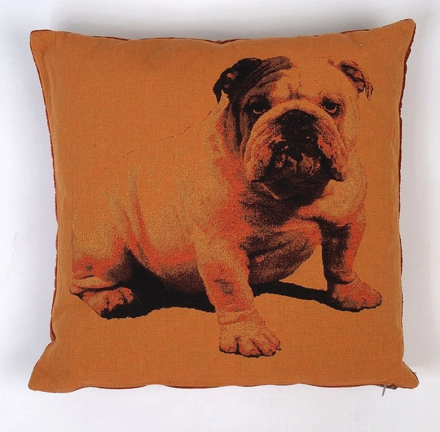 Μαξιλάρι Πορτ.Bulldog Ολοσ.45Χ45 EN 1