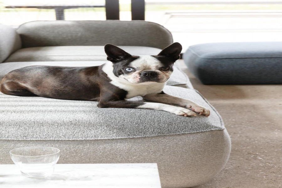 Ύφασμα SULTAN COL.21 WOOL 4